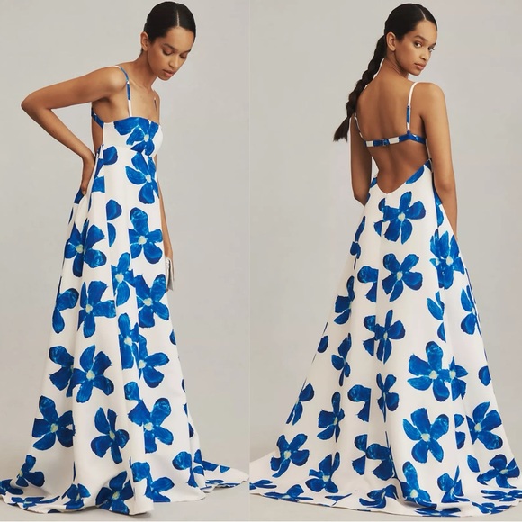 Sau Lee Lucia Maxi Dress in White and Blue Floral Print - Picture 1 of 16